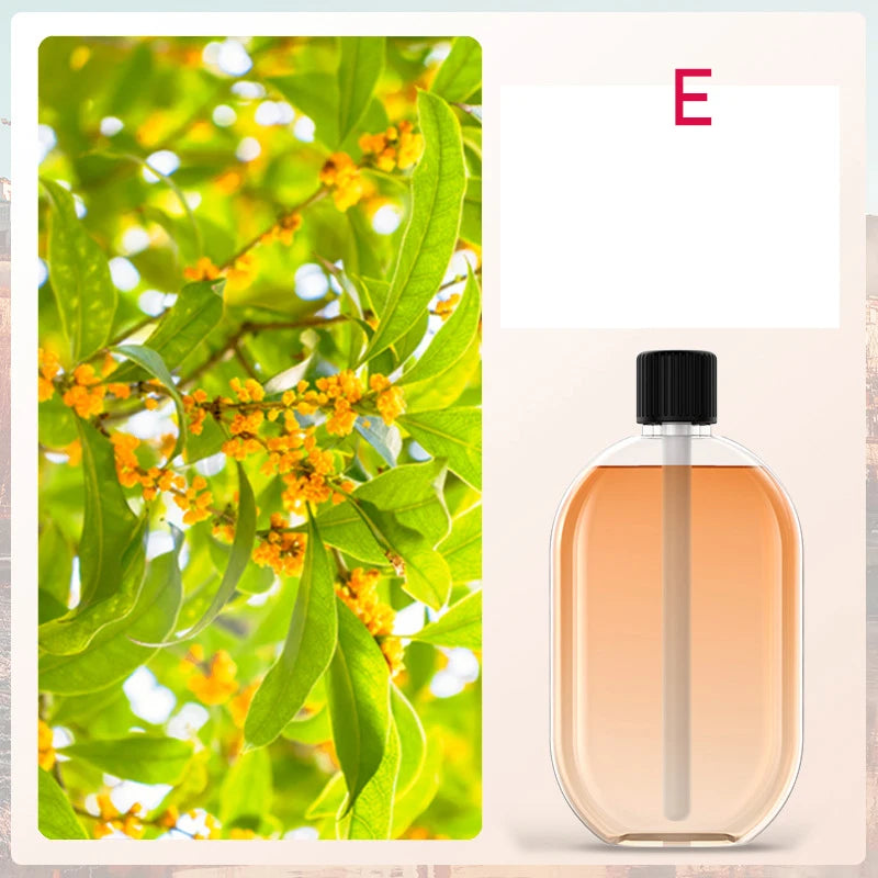 Automatic Fragrance Diffuser, USB Powered Essential Oil Diffuser with Spraying & Light, Home Fragrance for Living Room, Bedroom